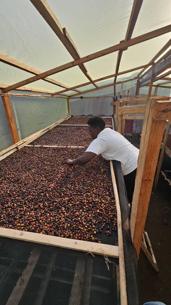 WhatsApp Image 2026-02-07 at 5.41.31 AM