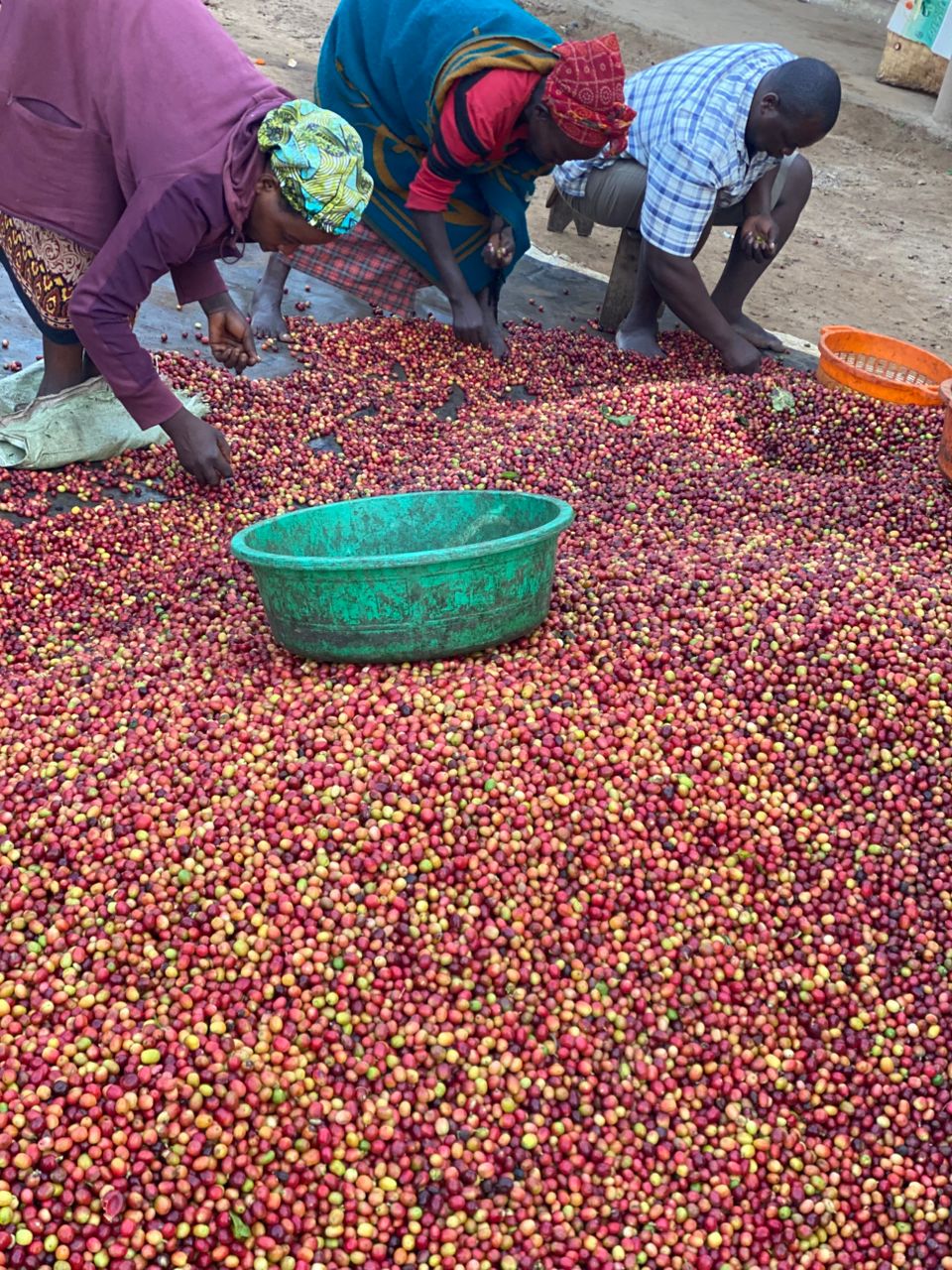 WhatsApp Image 2026-02-07 at 5.41.40 AM (1)